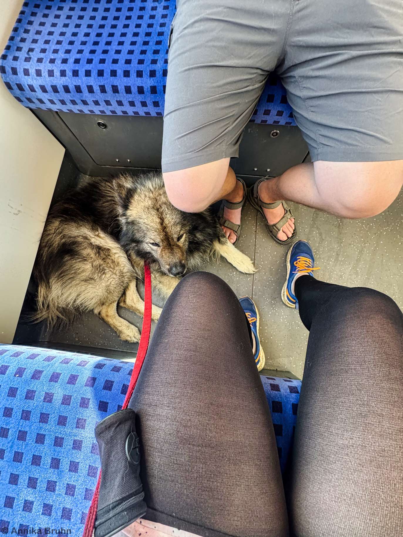 Q fährt mit uns SBahn